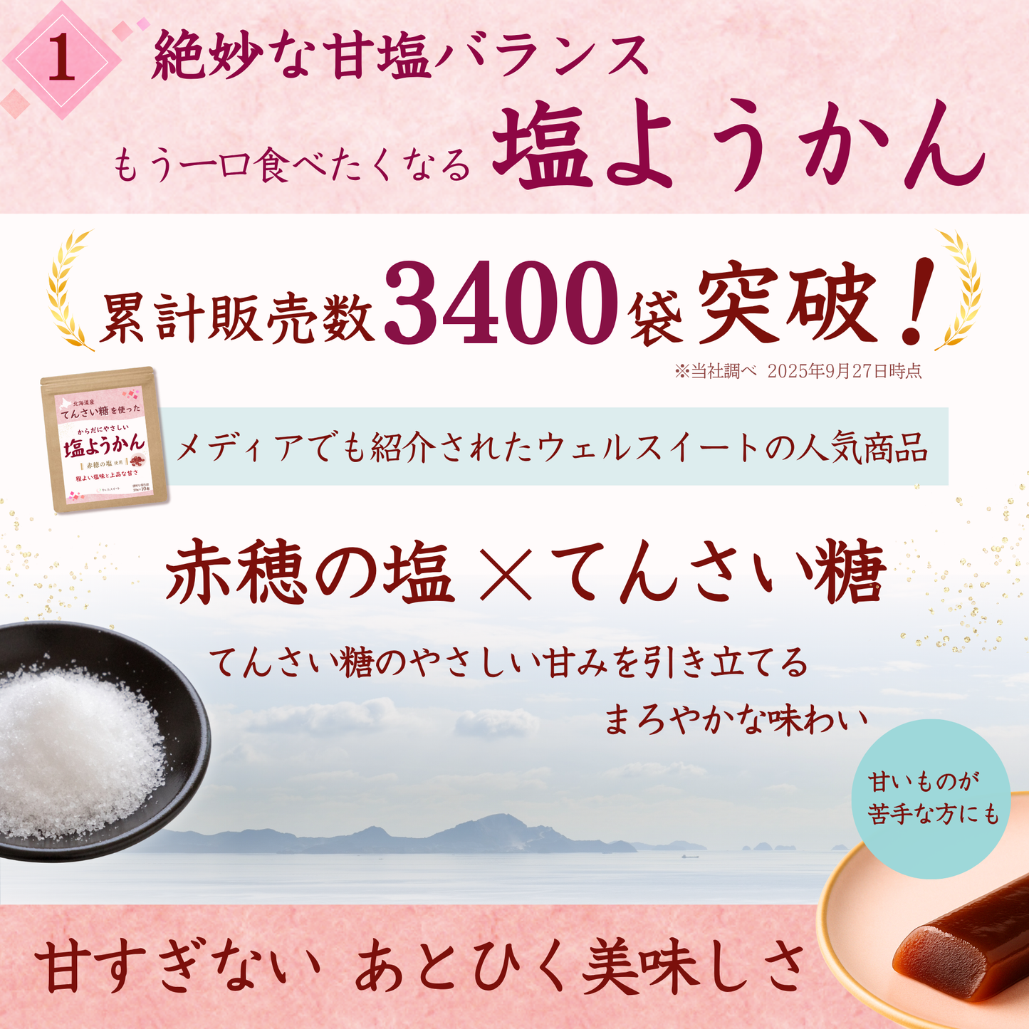 ウェルスイート ミニ 羊羹 セット (塩/黒糖/いちご) ようかん 北海道小豆 × てんさい糖 20g×18本