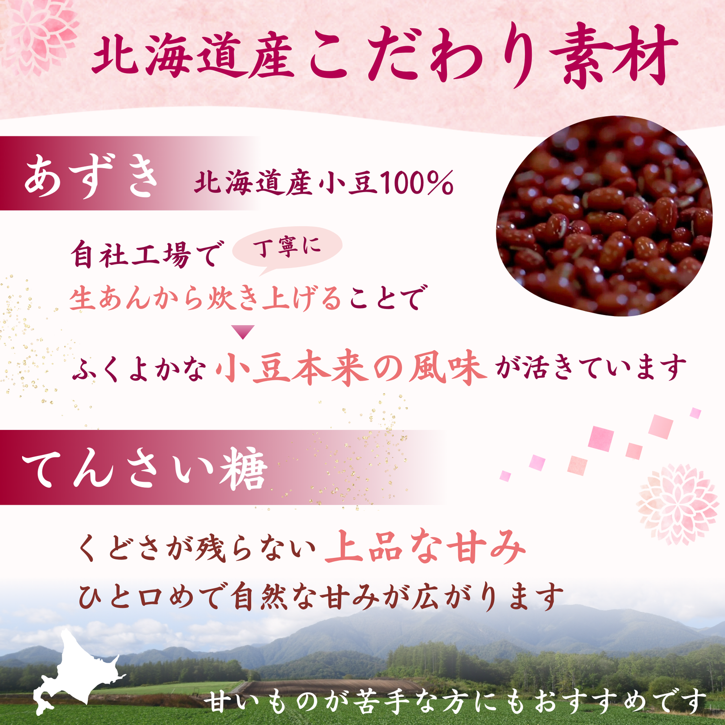 ウェルスイート 塩ようかん