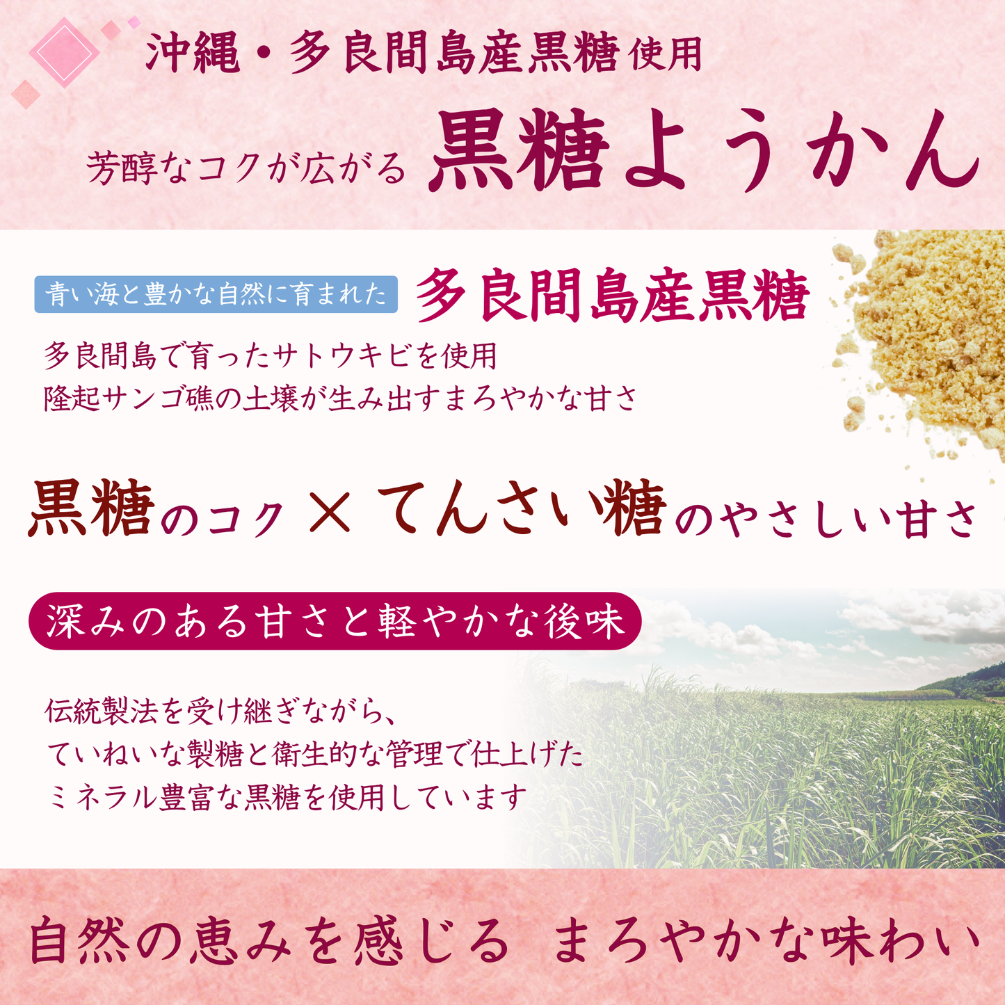 【特別企画】好きな味だけをたっぷりと。選べるようかん 味別18本入り（塩 /黒糖 /いちご）