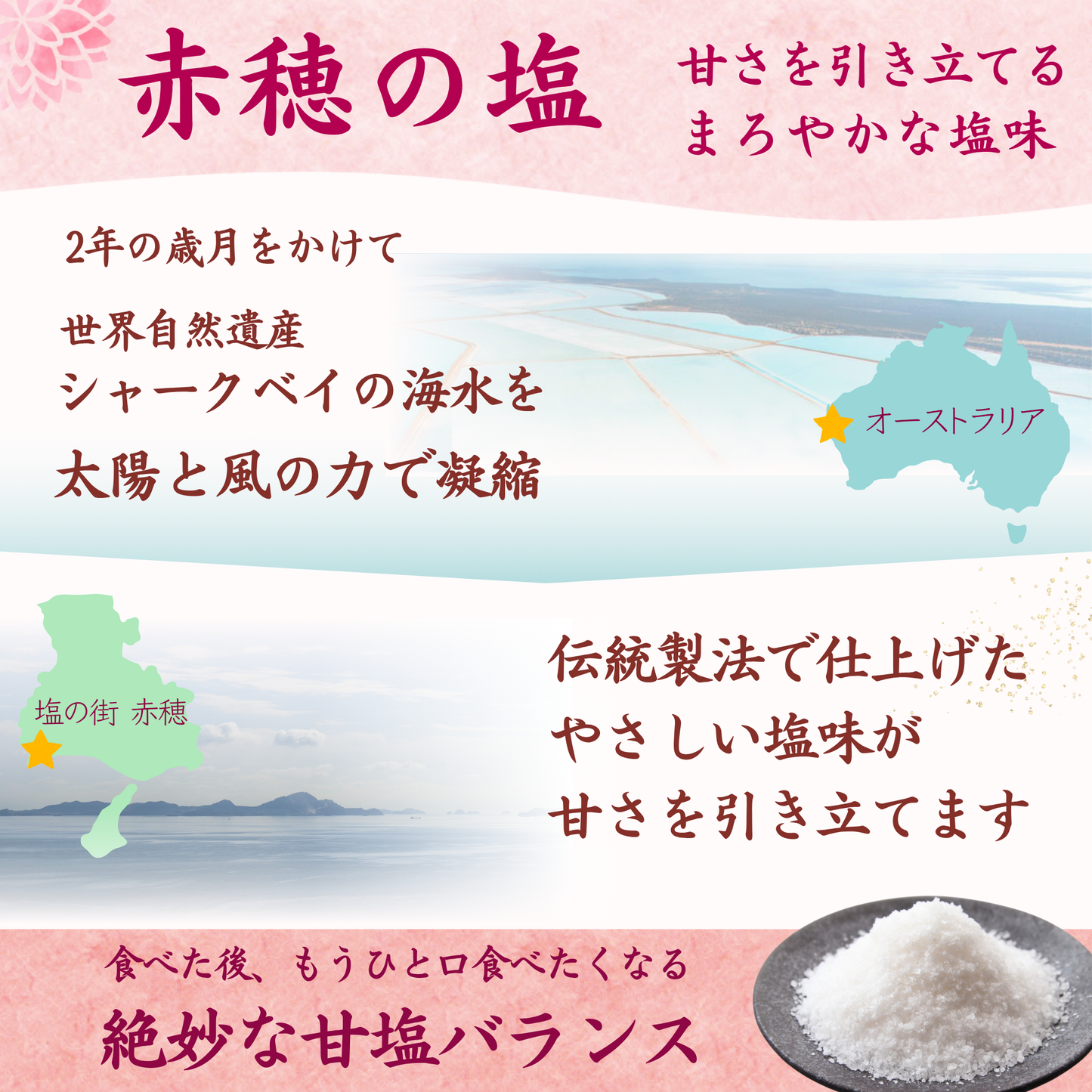 ウェルスイート 塩ようかん