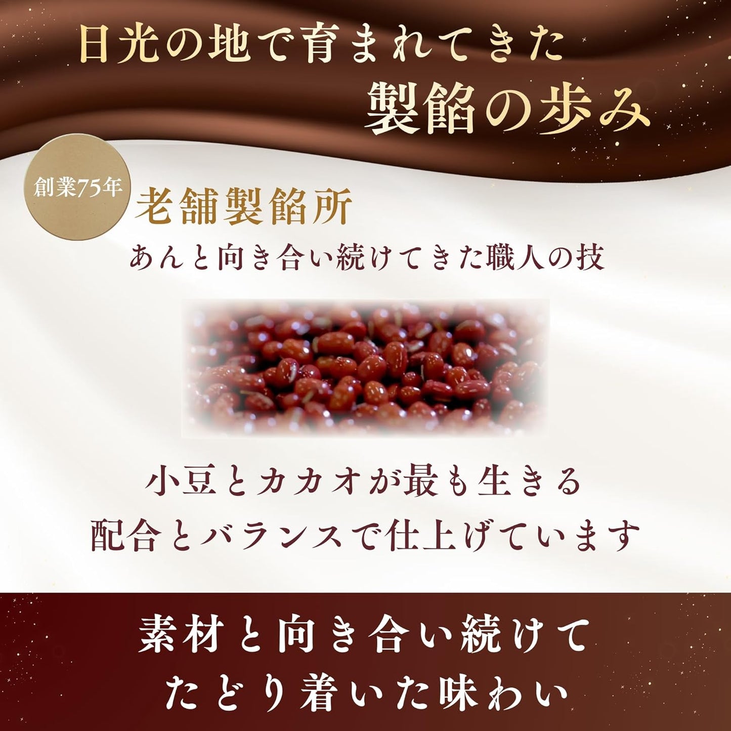 ウェルスイート チョコようかん 北海道産てんさい糖使用 カカオの香りとしっとりとした質感の奥深い味わい 20g 10本入